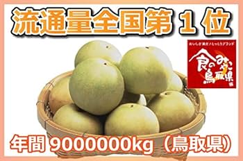 Amazon.co.jp: 二十世紀梨 5kg（進物用16-18玉）秀玉 L 鳥取県産